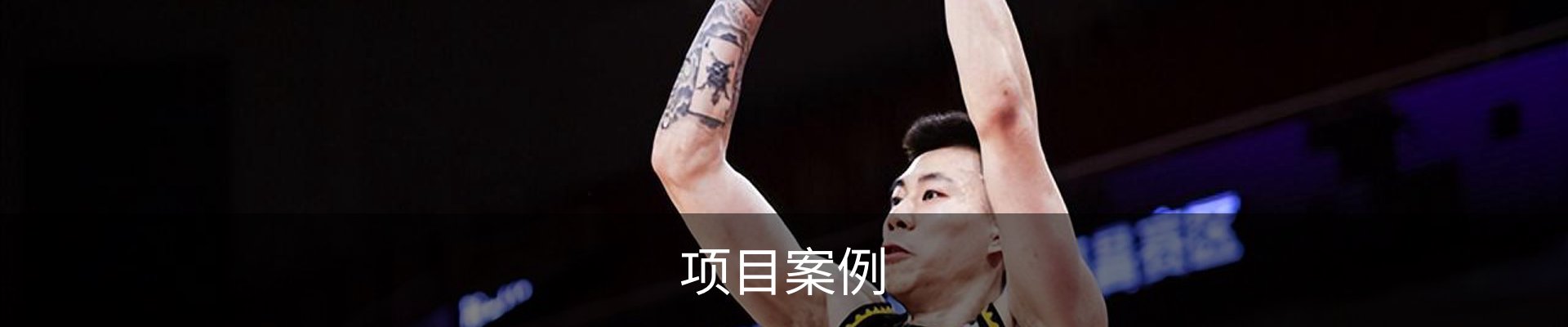 项目案例